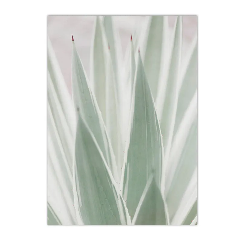 Plakat botaniczny - sukulenty i kaktusy Czerwony