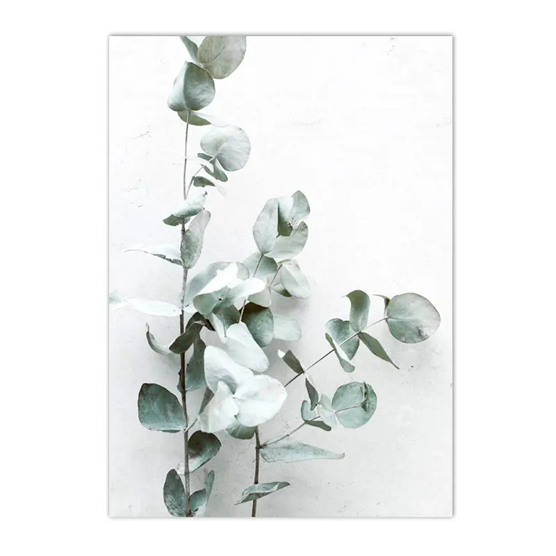 Plakat botaniczny - sukulenty i kaktusy Fioletowy