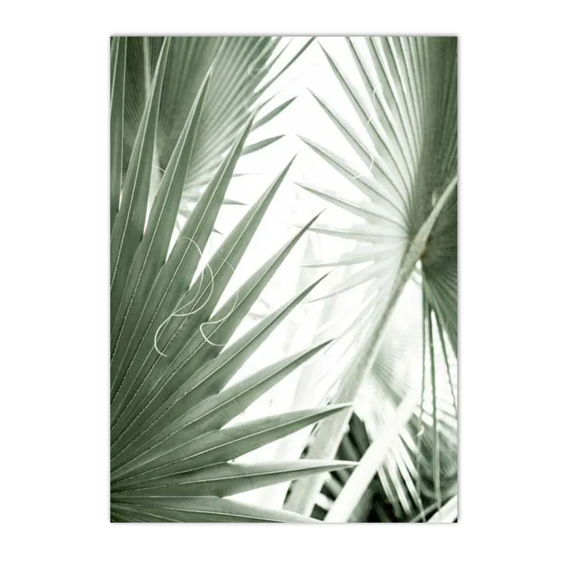 Plakat botaniczny - sukulenty i kaktusy Jasnozielony