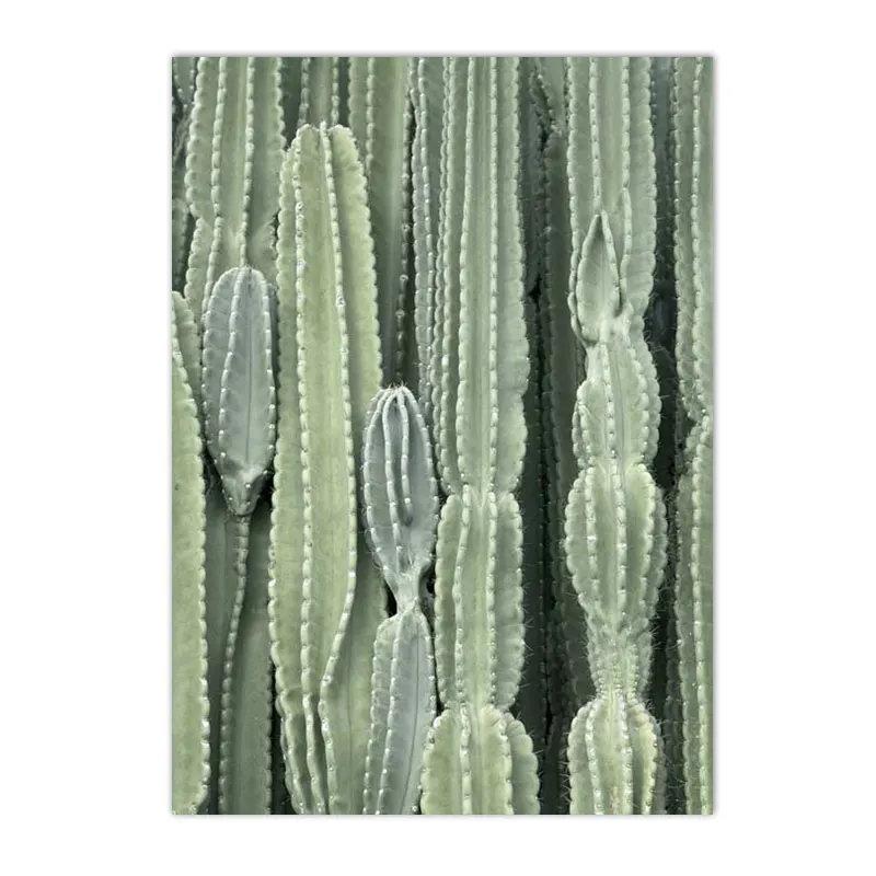 Plakat botaniczny - sukulenty i kaktusy żółty