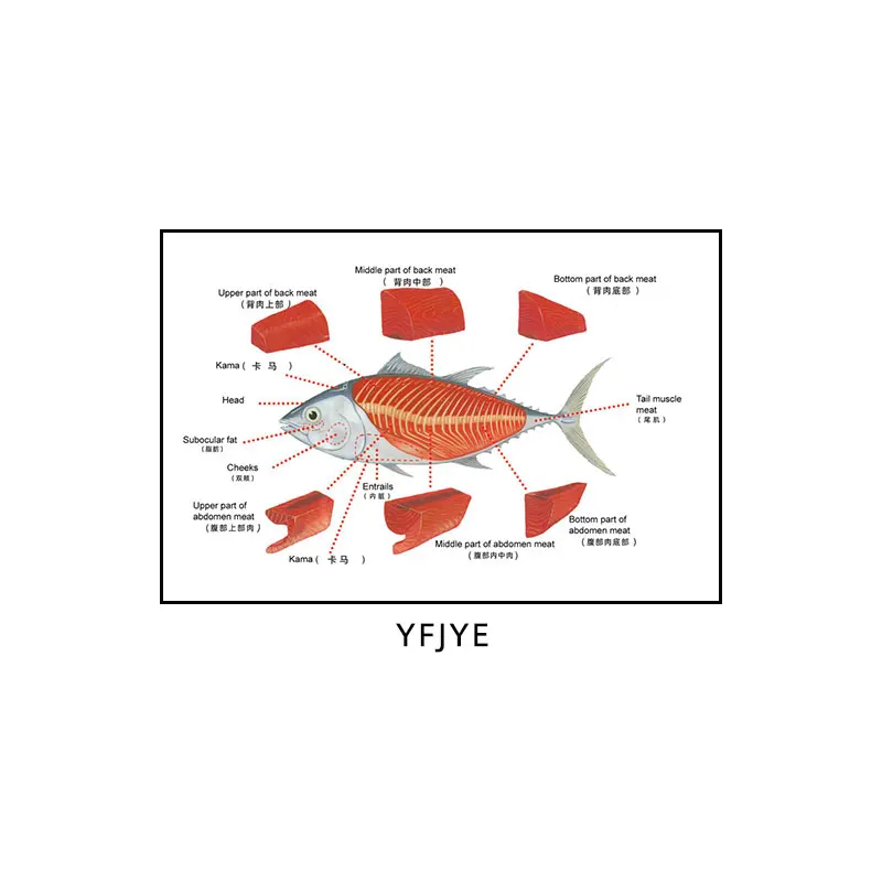 Plakat sushi i sashimi - japońska kuchnia na płótnie Granatowy