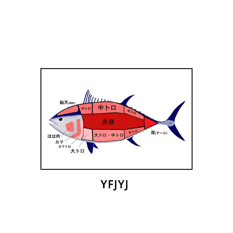 Plakat sushi i sashimi - japońska kuchnia na płótnie Jasnozielony