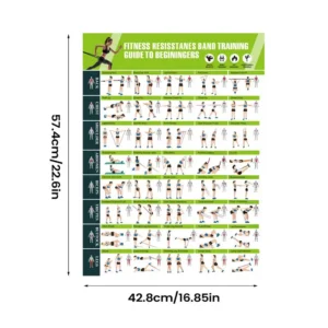 Plakat treningowy z gumami oporowymi Czerwony
