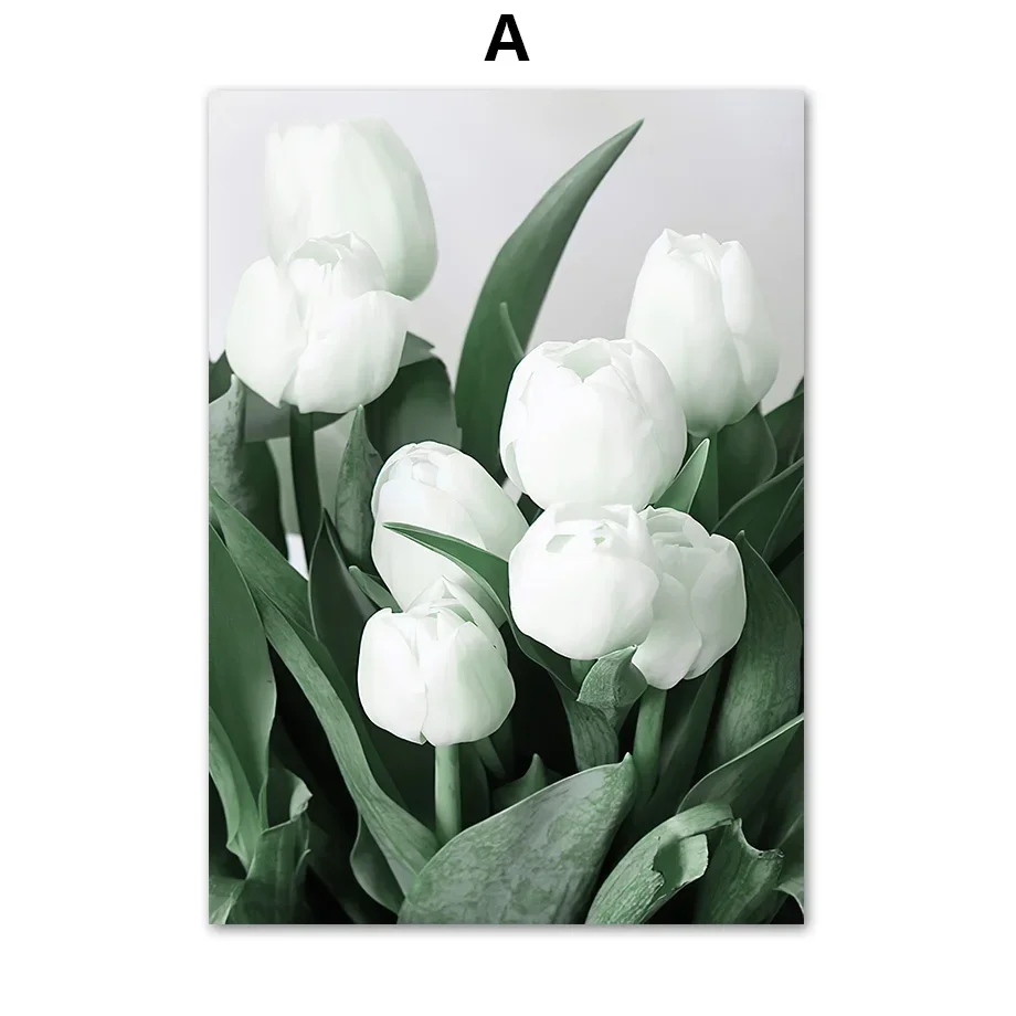 Plakat abstrakcyjny tulipan i monstera Biały