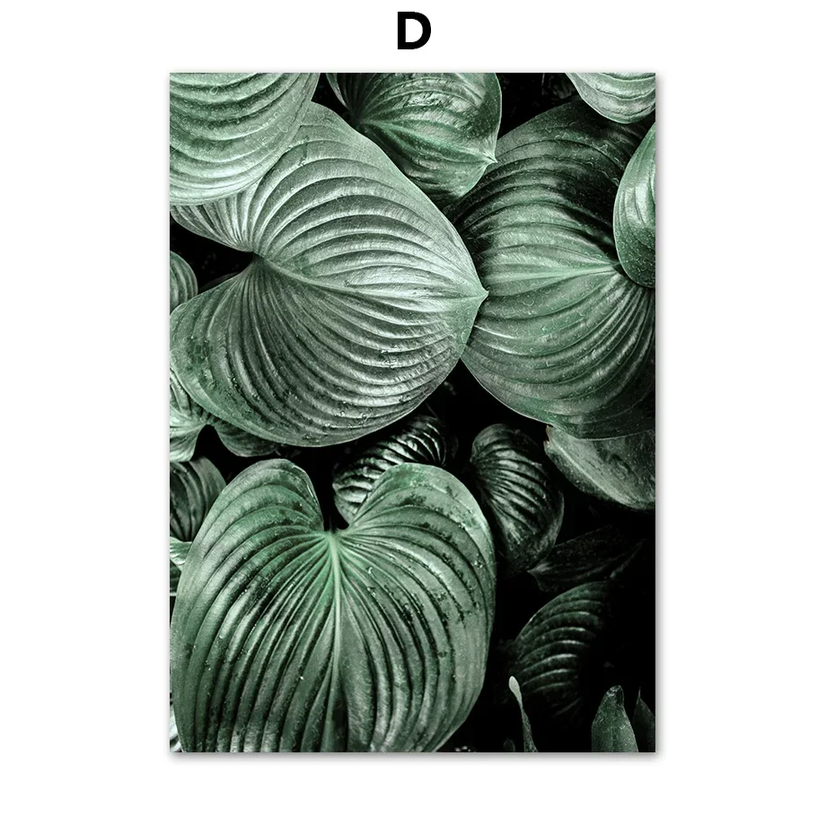 Plakat abstrakcyjny tulipan i monstera Burgundia