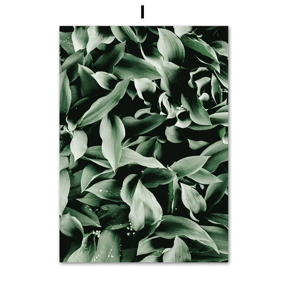 Plakat abstrakcyjny tulipan i monstera Czarny