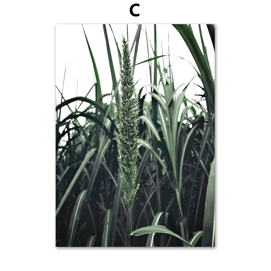 Plakat abstrakcyjny tulipan i monstera Czerwony