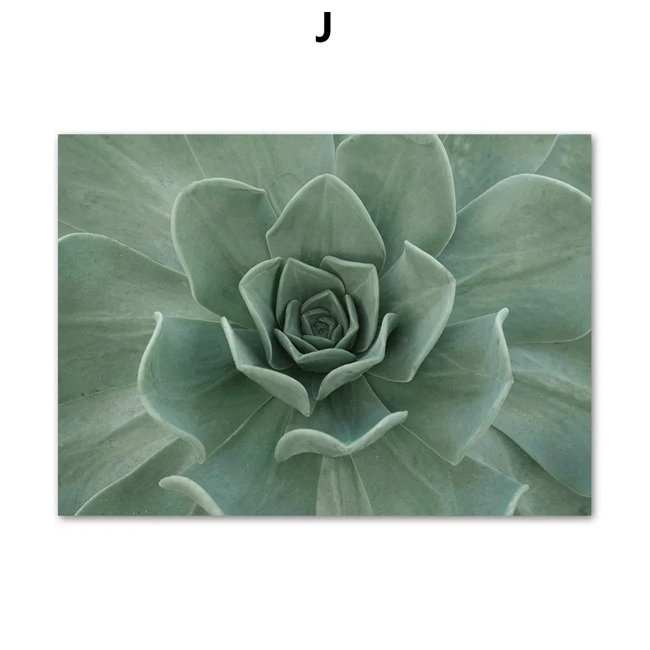Plakat abstrakcyjny tulipan i monstera Jasnozielony