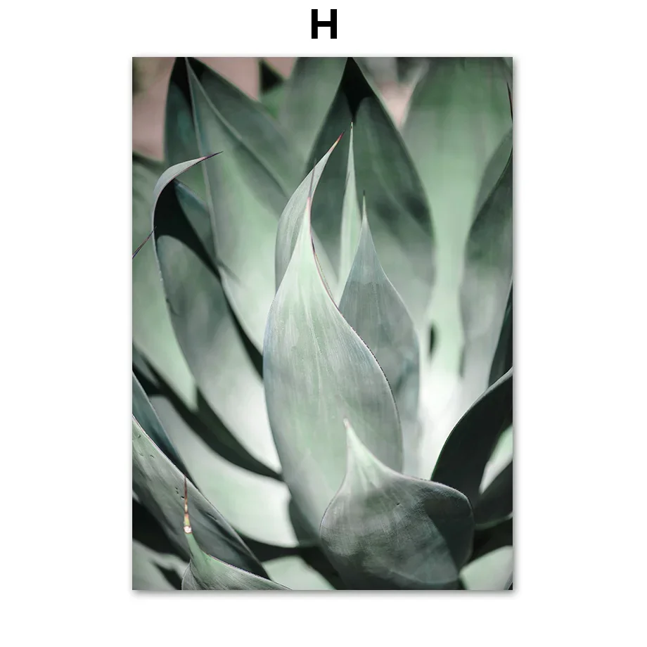 Plakat abstrakcyjny tulipan i monstera Niebieski