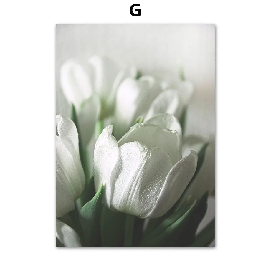 Plakat abstrakcyjny tulipan i monstera Zielony