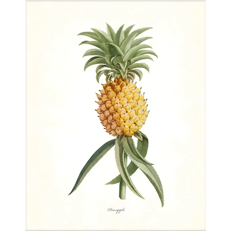 Plakat vintage botaniczny z ananasami i palmami żółty