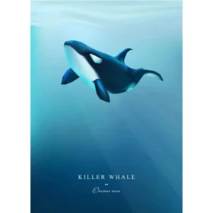 Wieloryb i orka - minimalistyczny plakat morski Biały