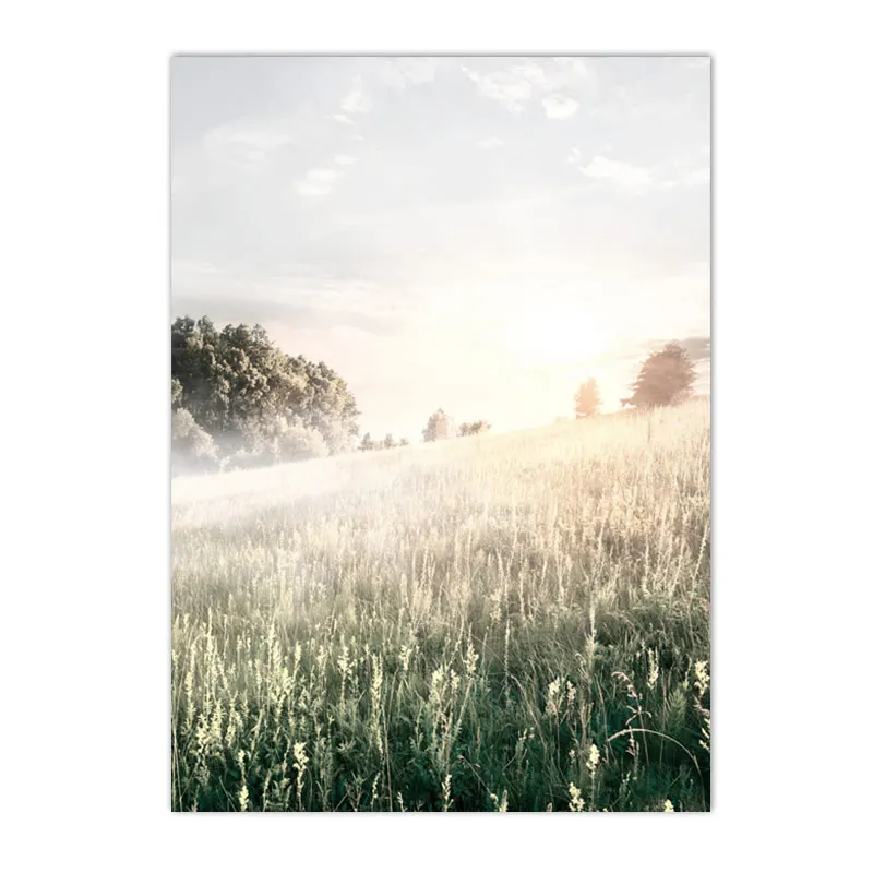 Wiosenne jezioro o wschodzie słońca - plakat natura Burgundia