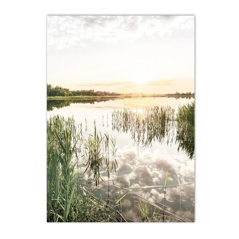 Wiosenne jezioro o wschodzie słońca - plakat natura Fioletowy