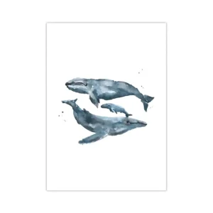 Plakat zwierzęta morskie delfin i żółw Biały