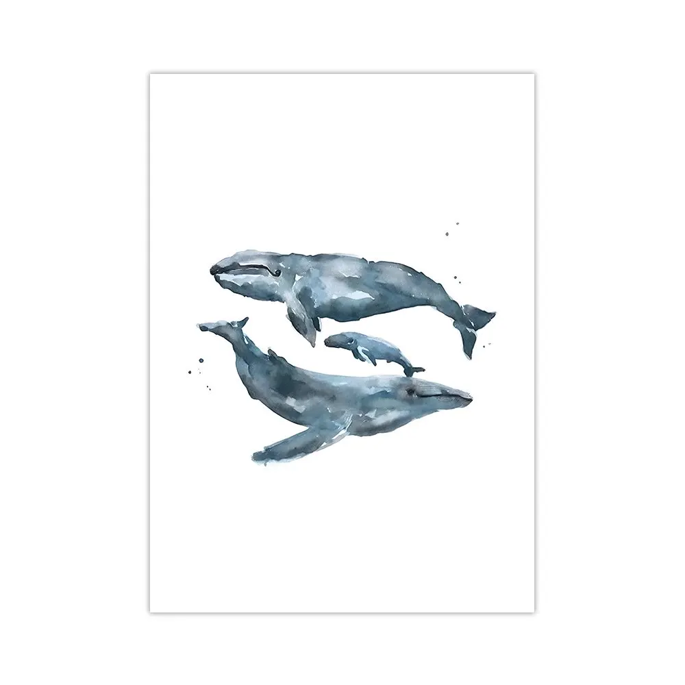 Plakat zwierzęta morskie delfin i żółw Biały