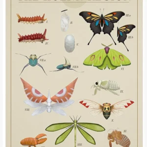 Życie morskie – plakat botaniczny z naturą Jasnożółty