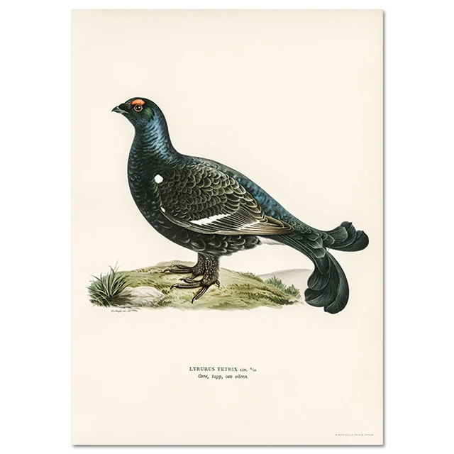 Retro ptak kormoran - realistyczny plakat na ścianę żółty
