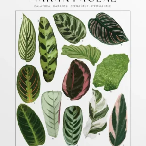 Rośliny tropikalne - minimalistyczny plakat botaniczny Jasnożółty