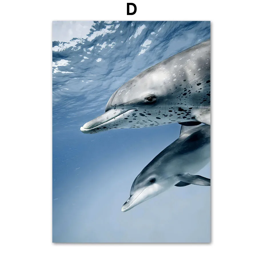 Santorini plaża i delfin nad morzem Burgundia
