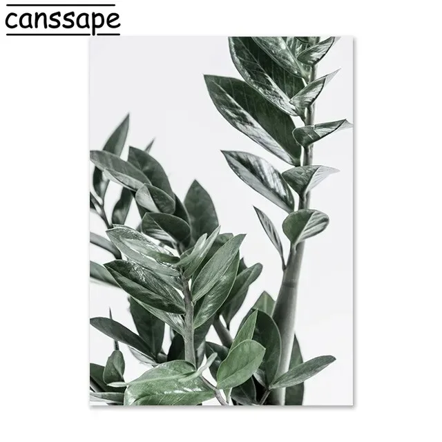 Sukulenty – skandynawski plakat botaniczny Burgundia