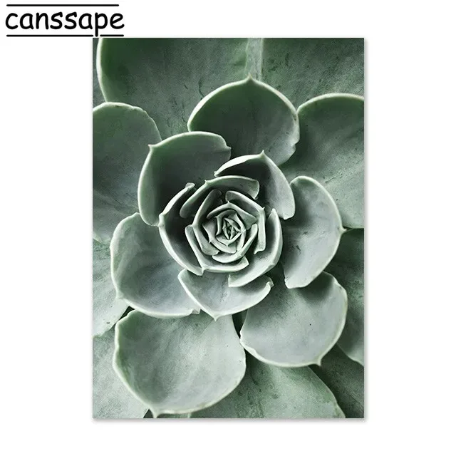 Sukulenty – skandynawski plakat botaniczny żółty