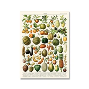Warzywa i owoce vintage - plakat botaniczny do kuchni Czerwony