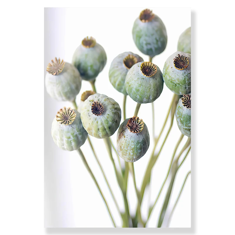 Zielone liście botaniczne Burgundia