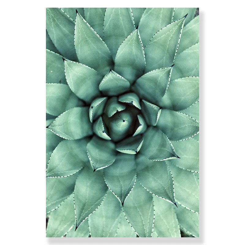 Zielone liście botaniczne Niebieski
