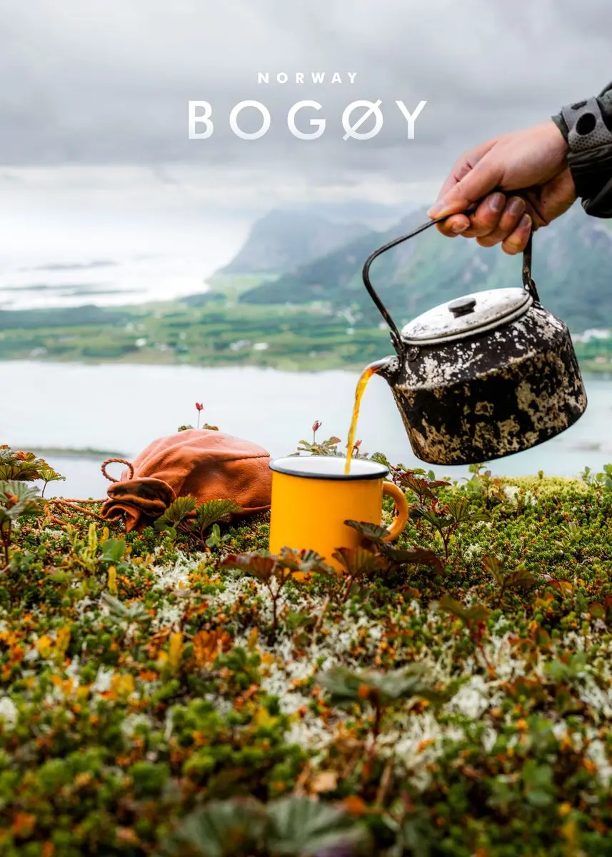 Zorza polarna nad Norwegią - plakat krajobraz Granatowy