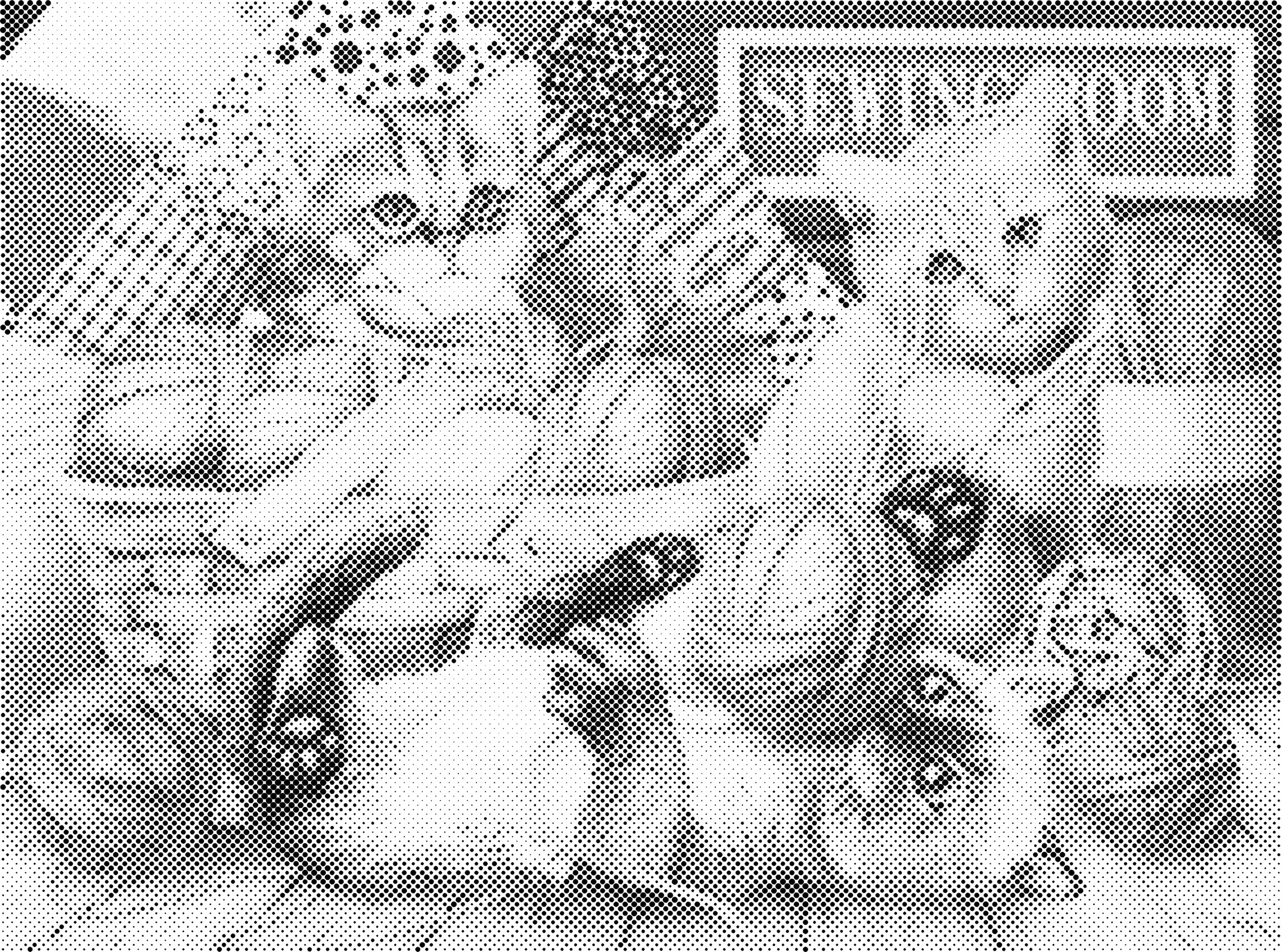 Zwierzę w kropki - stylowy plakat na ścianę Biały