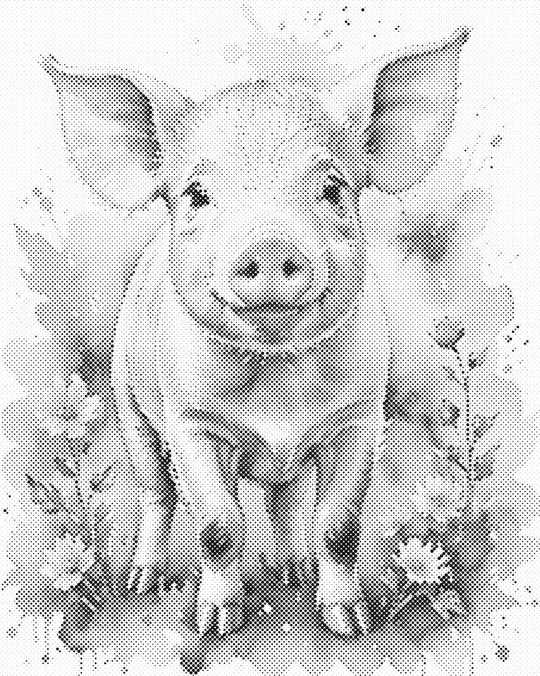 Zwierzę w kropki - artystyczny plakat na ścianę żółty